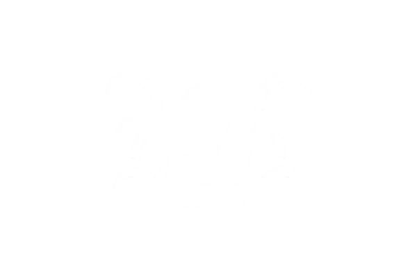 nodyx